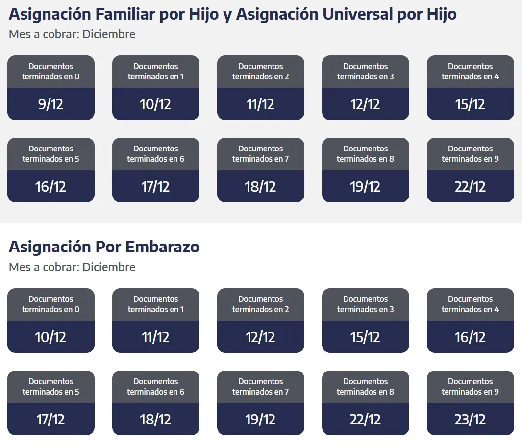 Captura de pantalla_2-12-2025_85248_www.anses.gob.ar