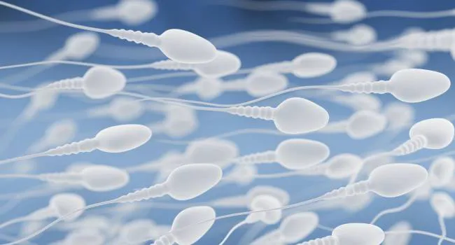 image_content_467650_20180920104847