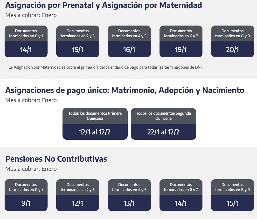 Captura de pantalla_2-1-2026_81649_www.anses.gob.ar