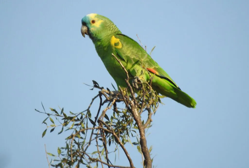 WhatsApp-Image-2025-08-25-at-16.53.14-1024x694