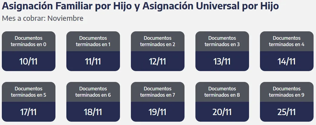 Captura de pantalla_31-10-2025_164216_www.anses.gob.ar