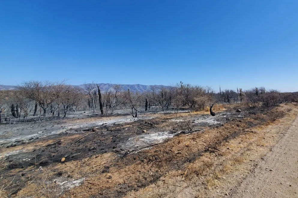 incendios- córdoba