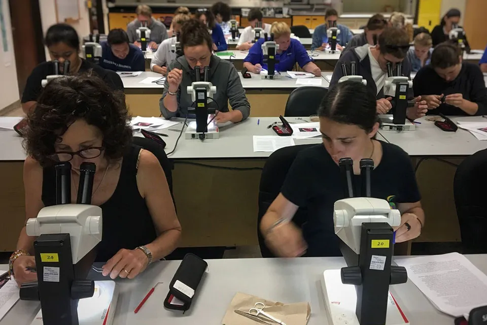 Beca-Fulbright-CONICET