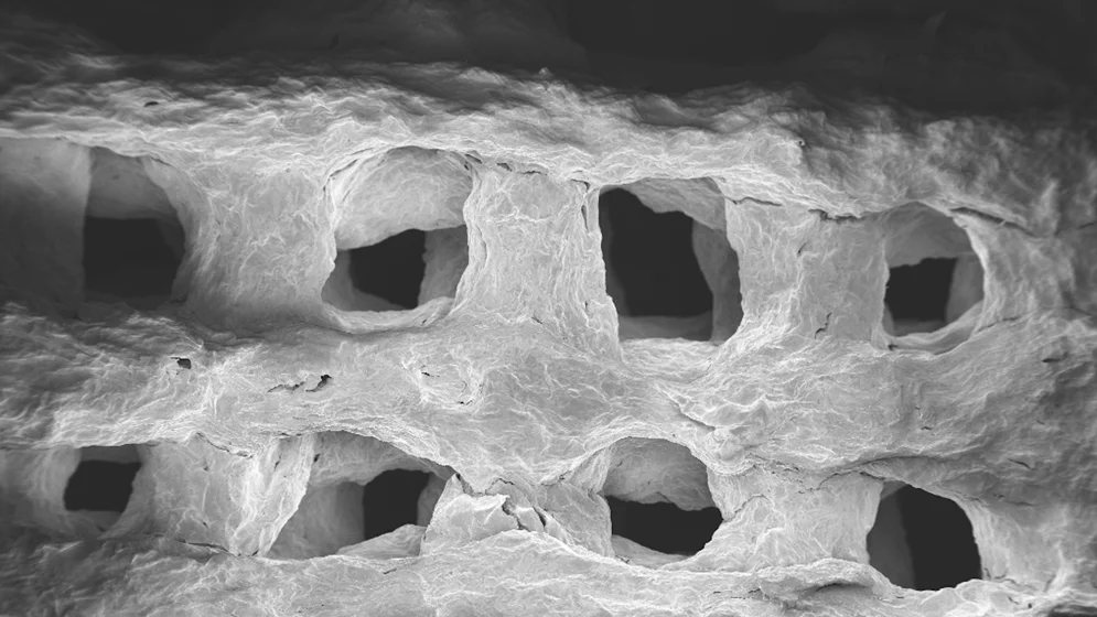 WEB_02