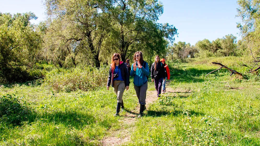 Isla-de-los-Mastiles-3-web