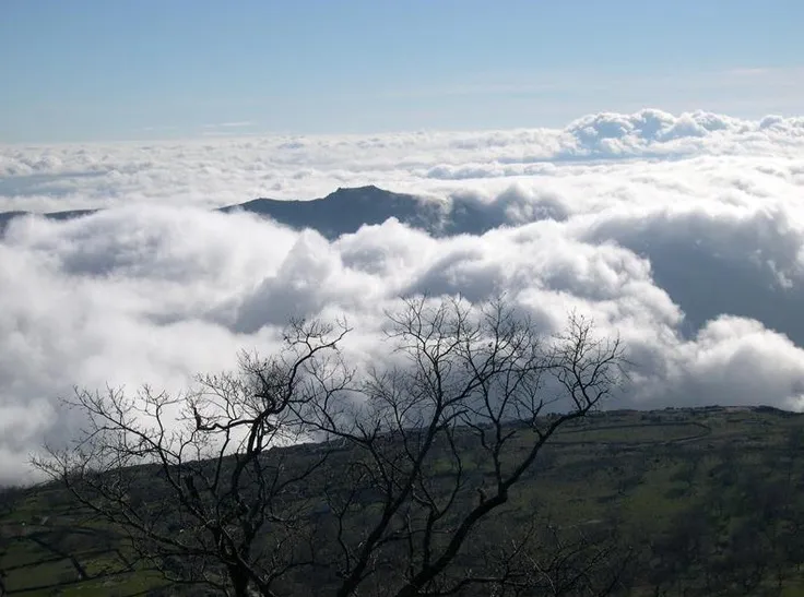 2d49cd16154a72faa8564ca104535908--enclave