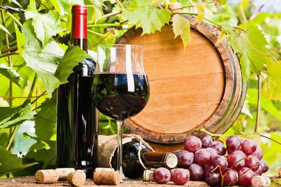 vino-i-sosudy