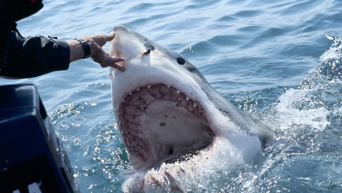 64adfeb659bf5b1d53234a89