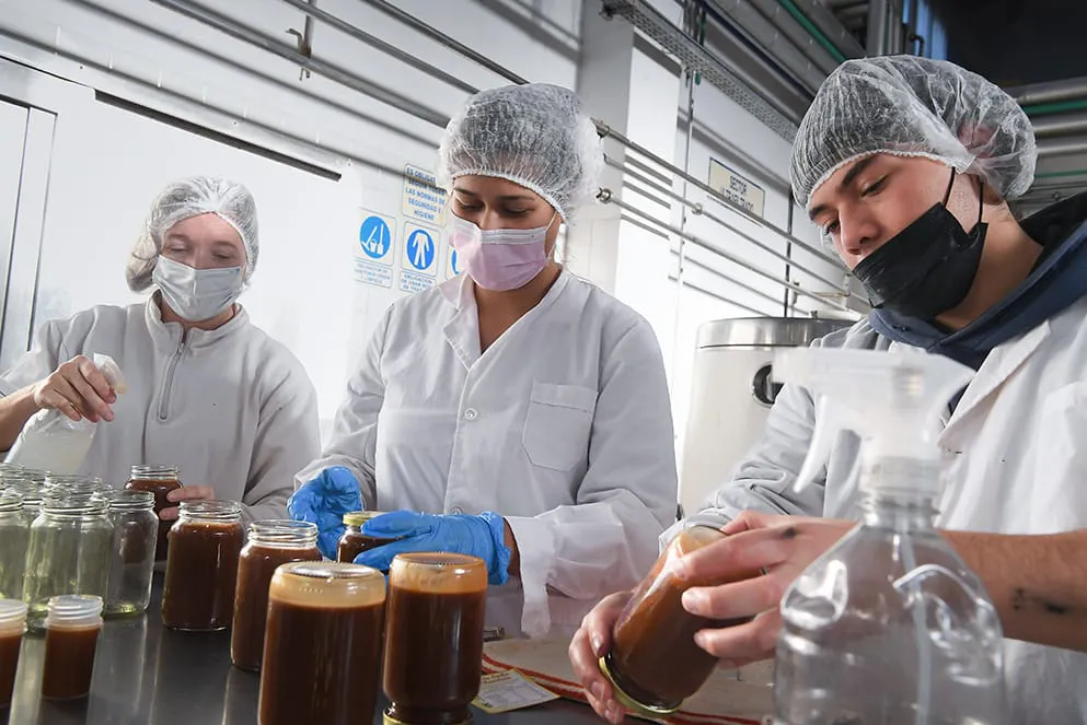 WhatsApp-Image-2024-08-07-at-13.14.09-2