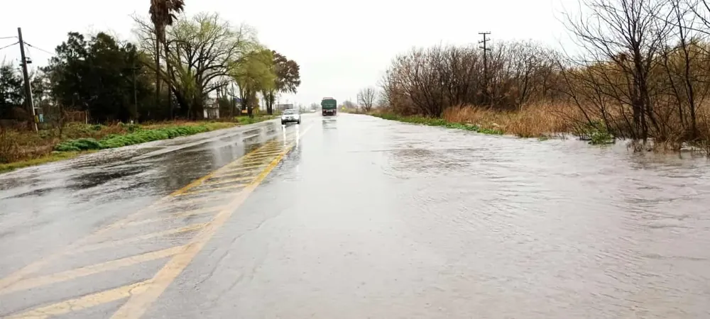 535617995_803329968799227_4595562959869130921_n