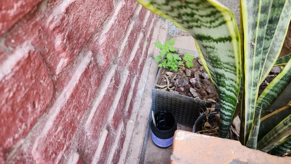 2024-08-20NID_280991O_2