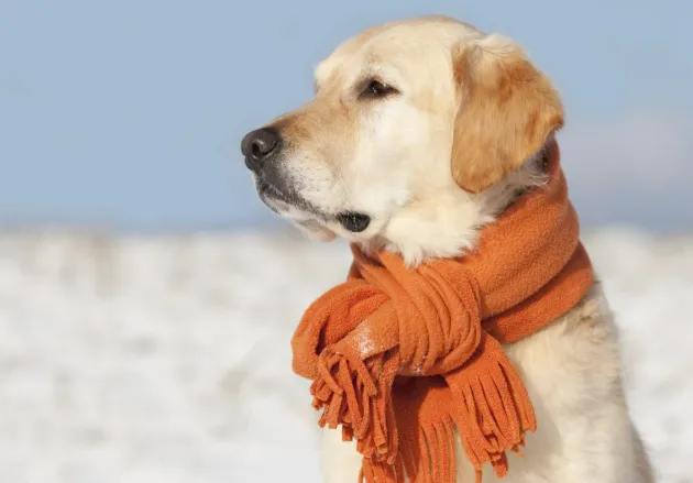 R3d3ad245177d4acfdfcc3c851905467a