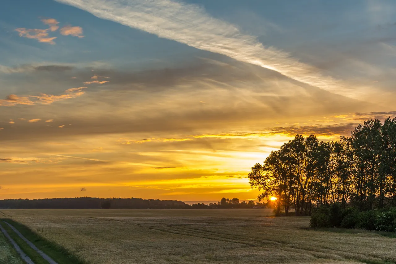sunrise-827927_1280