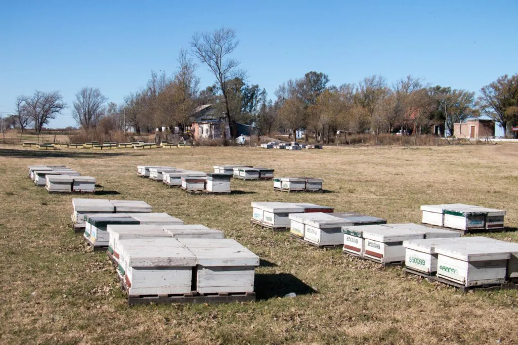 WhatsApp-Image-2025-07-01-at-10.27.55-1024x682