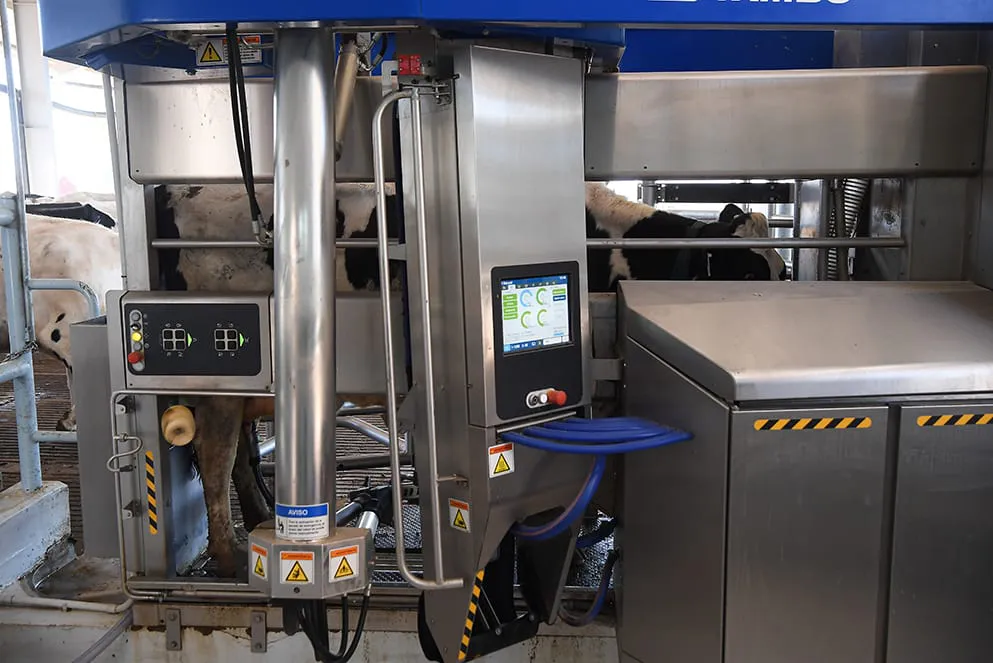 WhatsApp-Image-2024-08-07-at-13.14.09