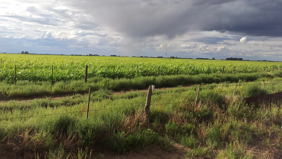 lluvias cam