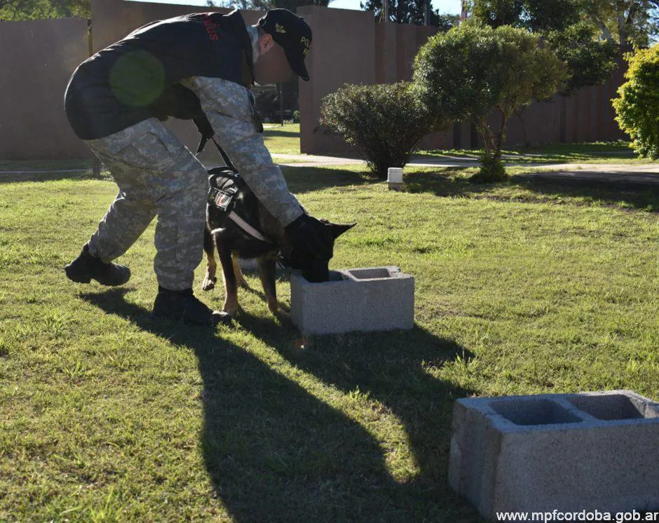 WhatsApp-Image-2025-07-01-at-1.00.48-PM-940x746