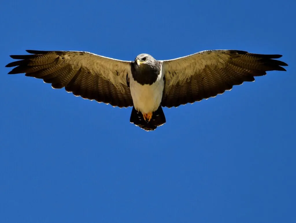 WhatsApp-Image-2025-08-25-at-16.53.32-1024x772