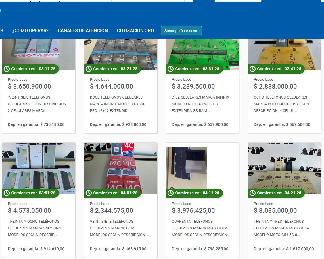 Captura de pantalla_4-12-2025_84831_subastas.bancociudad.com.ar