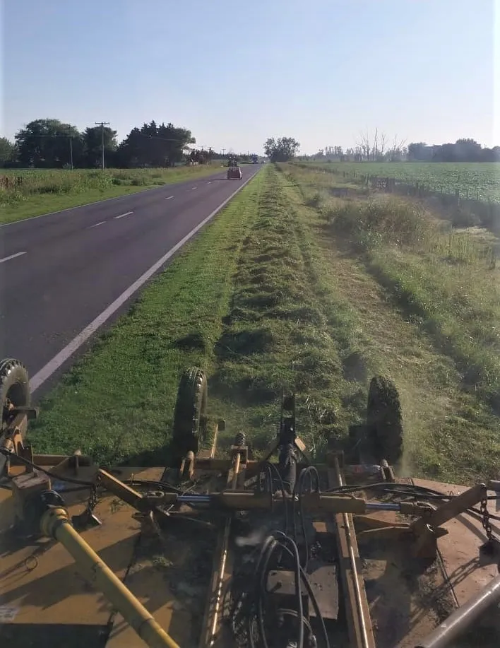 RN 33 - CORTE DE PASTO ENTRE SANFORD Y CHABAS - 20-2-25 (2)