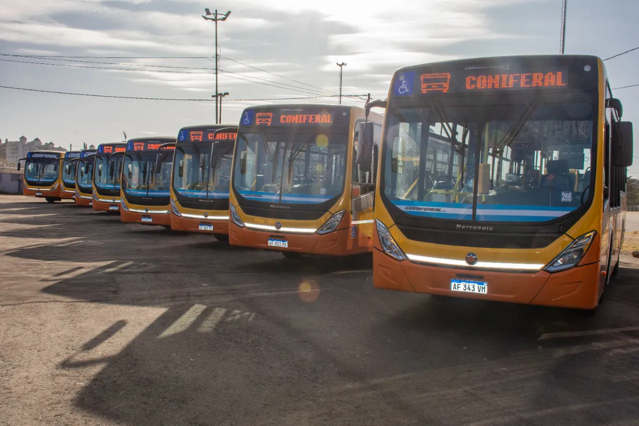 WhatsApp-Image-2022-06-03-at-4.49.15-PM