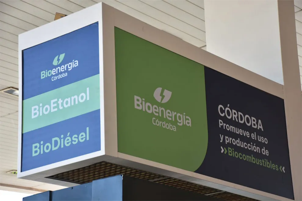 WhatsApp-Image-2024-09-16-at-16.46.31