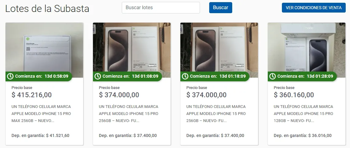 Captura de pantalla_2-1-2026_10150_subastas.bancociudad.com.ar