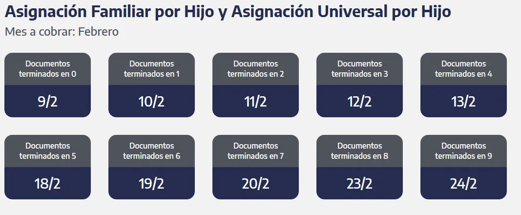 Captura de pantalla_9-2-2026_7473_www.anses.gob.ar