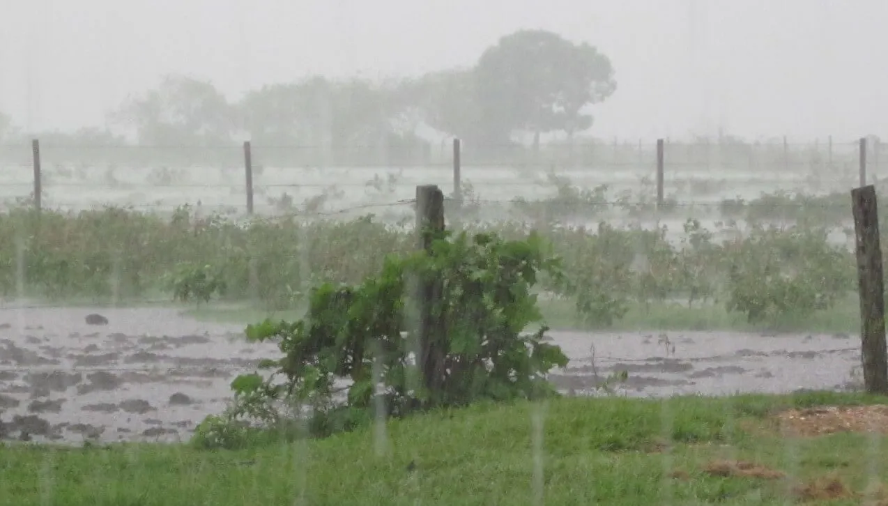 lluvia-campo