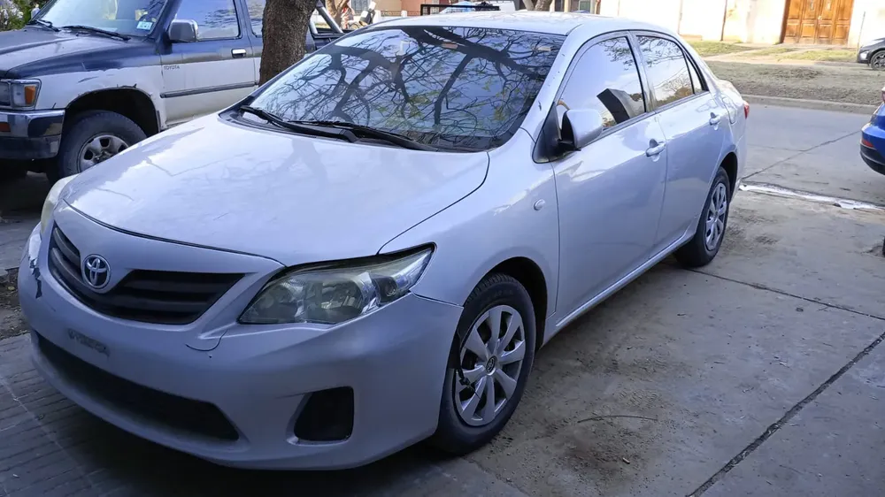 WhatsApp Image 2024-10-08 at 21.26.24