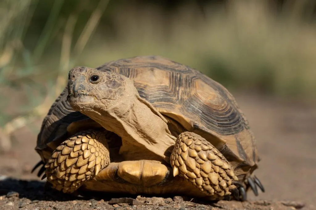 WhatsApp-Image-2025-08-25-at-16.52.55-1024x682