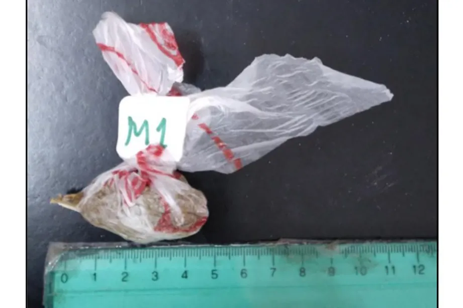 WhatsApp-Image-2025-10-16-at-10.37.46