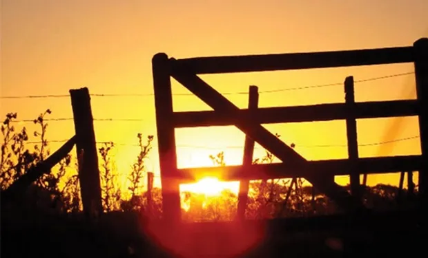campo-amanecer_1