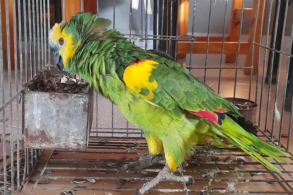 IMG-20240619-WA0002-1