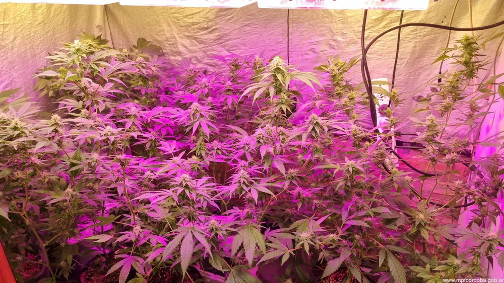 WhatsApp-Image-2024-06-18-at-6.47.34-PM-1920x1081