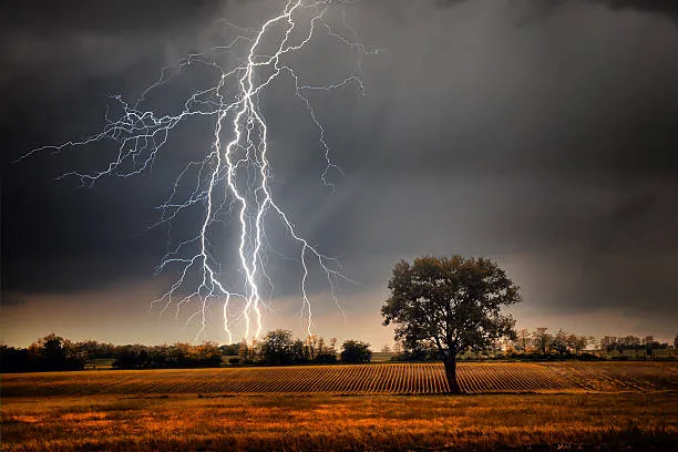 tormenta f