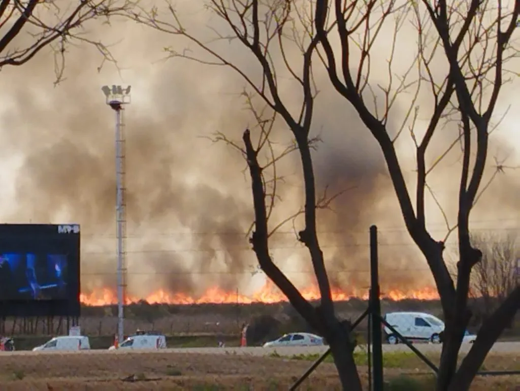 WhatsApp-Image-2024-09-05-at-17.49.05-1024x770