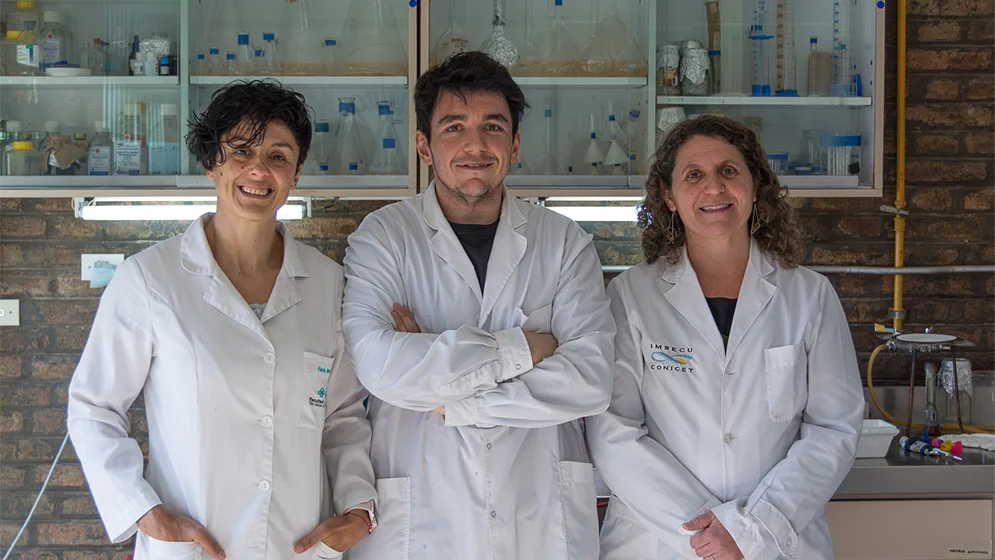 equipo-web.jpg