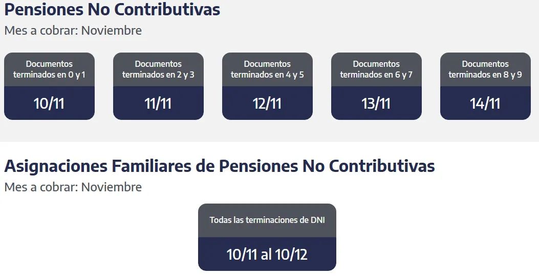Captura de pantalla_31-10-2025_164346_www.anses.gob.ar