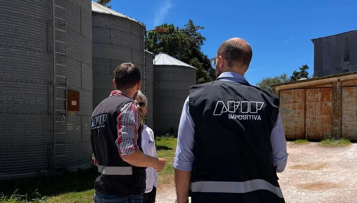 AFIP-Granos-3-e1705411525668