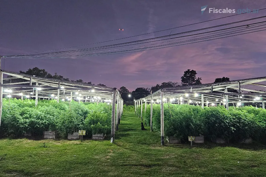 WhatsApp-Image-2025-03-12-at-2.54.08-PM