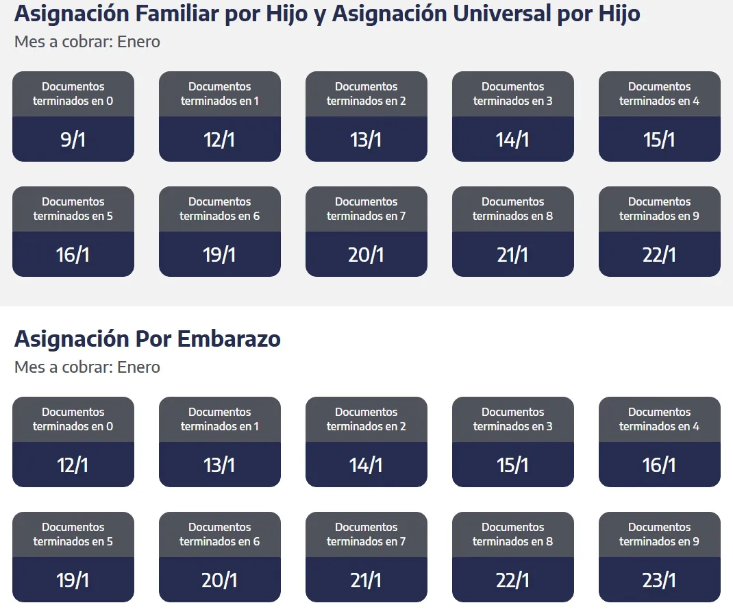 Captura de pantalla_2-1-2026_81626_www.anses.gob.ar