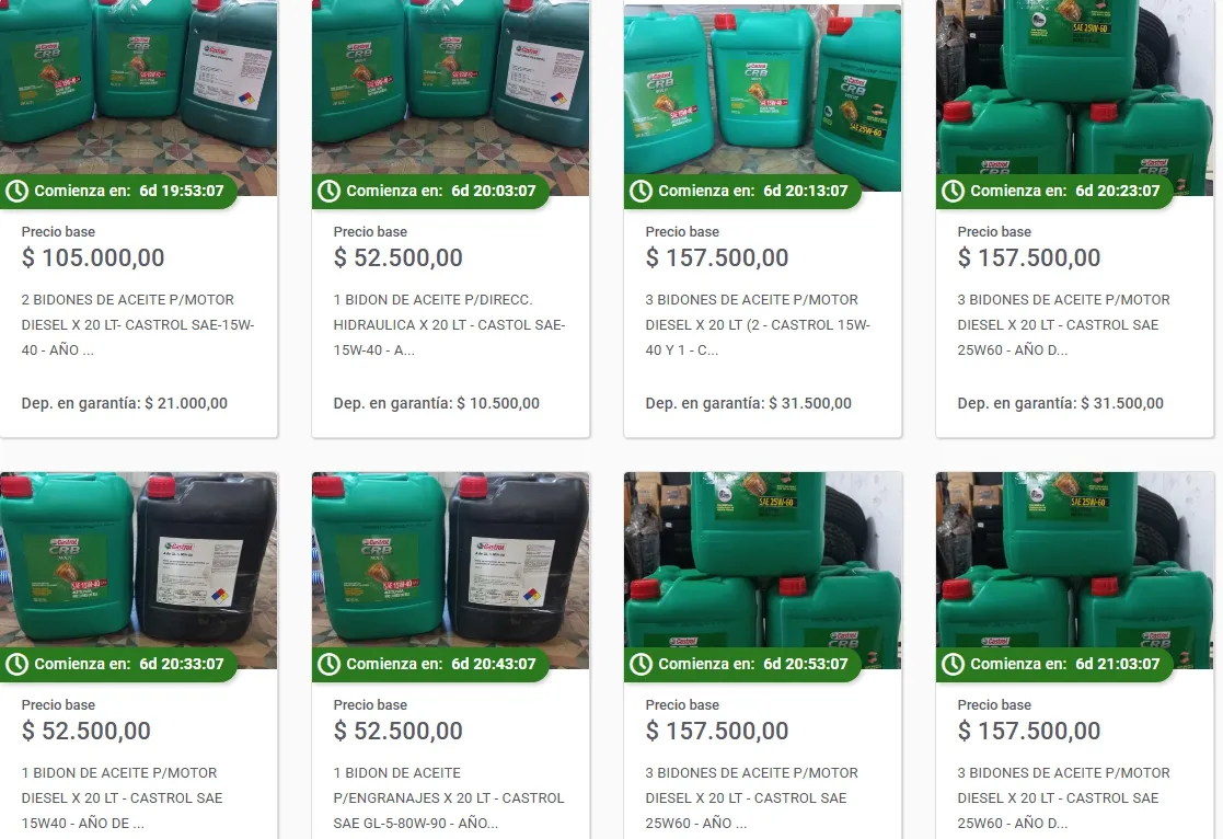 Captura de pantalla_15-12-2025_17651_subastas.bancociudad.com.ar