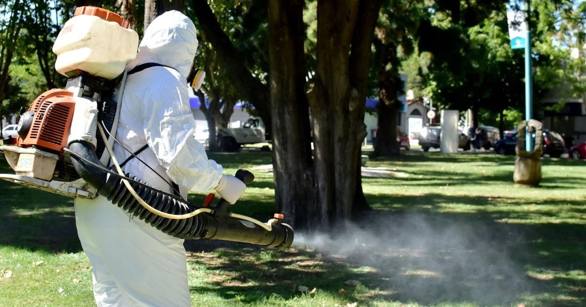 trabajos-de-fumigacion-contra-mosquitos___70r4l8Ei_1200x630__1