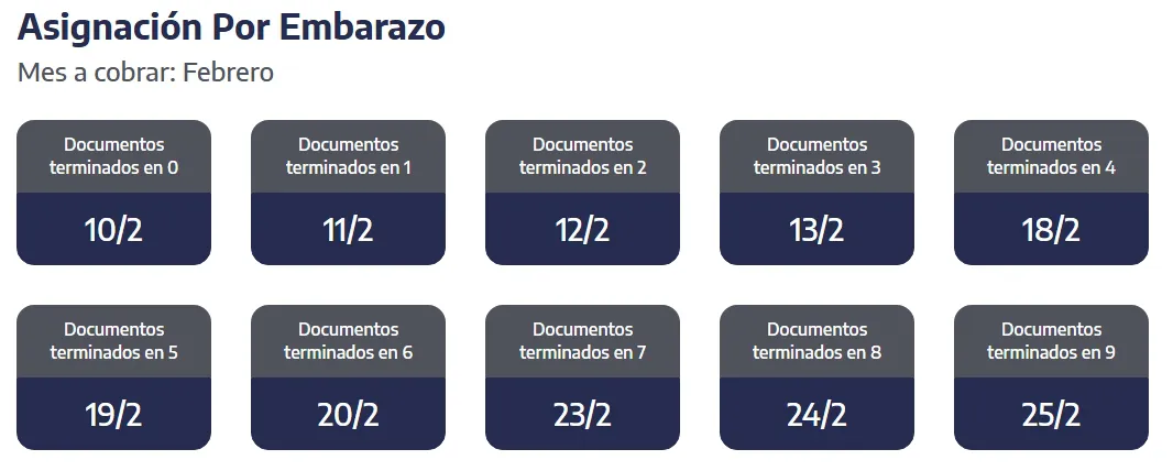 Captura de pantalla_9-2-2026_74716_www.anses.gob.ar