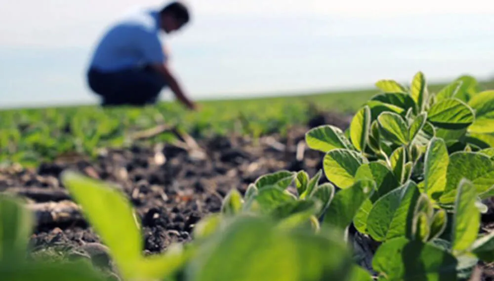 Día-dle-ingeniero-agronomo-infocampo