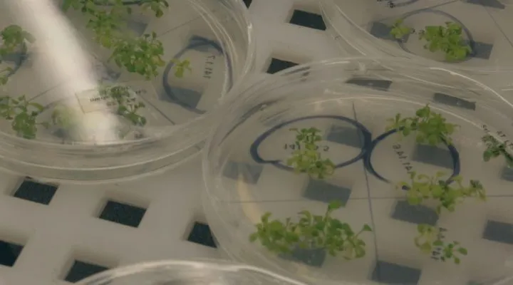 WhatsApp-Image-2024-08-28-at-17.46.06-1-720x400