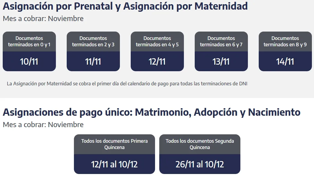 Captura de pantalla_31-10-2025_164259_www.anses.gob.ar