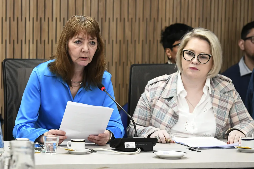 comisiondiscapacidadinformativa15octubreb