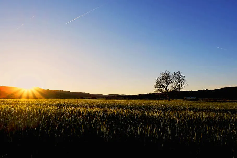 amanecer des